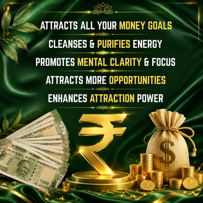 Money Magnet Oil – Charged & Enchanted Oil to Attract Wealth, Luck & Abundance | 12ml